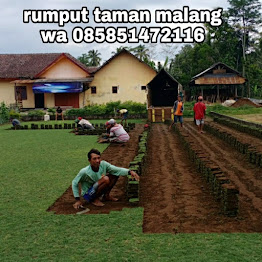 Rumput lapangan sepak bola