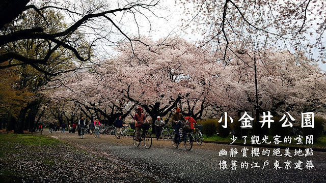 【日本自由行】東京高CP小金井公園,幽靜賞櫻與懷舊歐式日本建築!