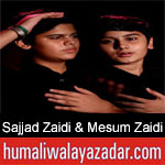 https://humaliwalaazadar.blogspot.com/2019/09/sajjad-zaidi-mesum-zaidi-nohay-2020.html