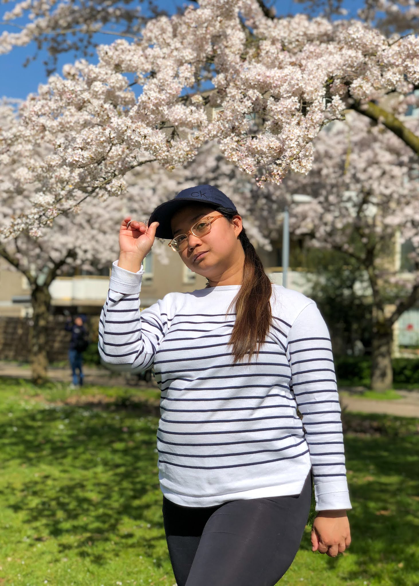Be Carol Sakura Cherry Blossoms Netherlands