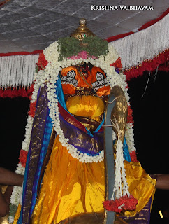 Aani,Simha, Vahanam,Sri Theliya Singar, Yoga Narasimhar,Brahmotsavam ,Purappadu,Video, Divya Prabhandam,Sri Parthasarathy Perumal, Triplicane,Thiruvallikeni,Utsavam,