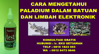 CARA MENGOLAH PALLADIUM