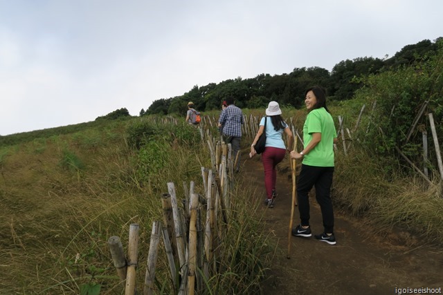 Hiking the Kew Mae Pan nature trails at Doi Inthanon National Park