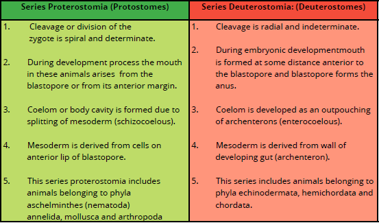 FSc Biology Part 1 XI 11th Chapter 10 Kingdom Animalia Notes Long Questions fscnotes0