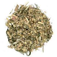   Mugwort  (Artemisia vulgaris) الشح
