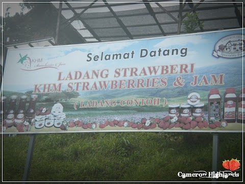 Cameron Highlands Trip | All about Stroberiess..