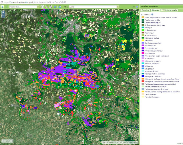 Carte des données IGN de la forêt de Fontainebleau avec répartition par essence. En violet, on peut voir que  les peuplements en pins sylvestre sont très largement majoritaires