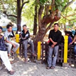 View album