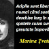 Maxima zilei: 8 octombrie - Marina Țvetaeva