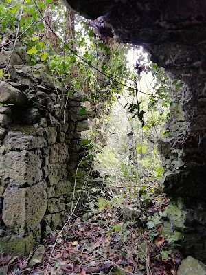 Kilmainham Friary, Laois