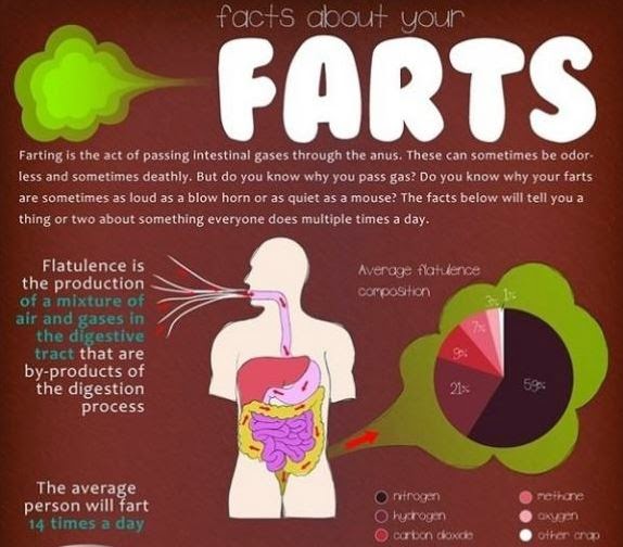 http://watchnewtech.blogspot.in/2014/10/facts-about-your-farts-infographic.html