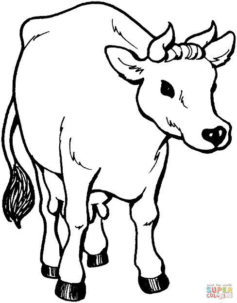 Coloring Pages  Cow Coloring Pages Farm Animals Coloring Pages Baby  Cow Coloring Pages