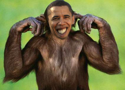 barack obama monkey. Governor Tells Obama to Butt