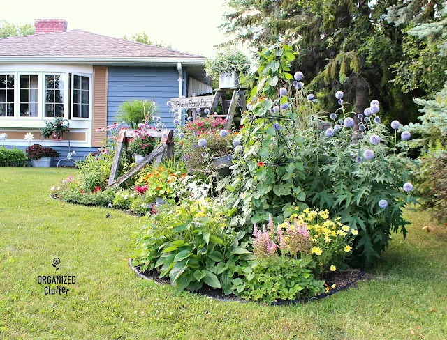 The Front Yard Flower Border 2012-2020