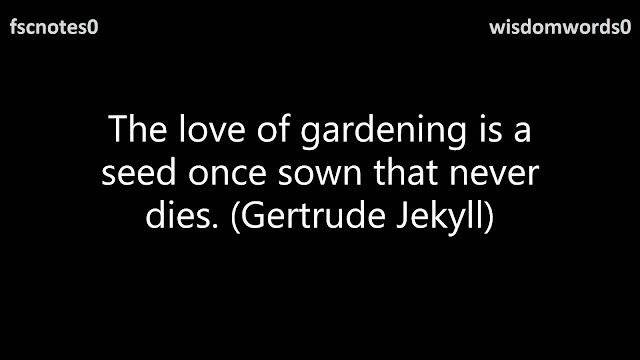 The love of gardening is a seed once sown that never dies. (Gertrude Jekyll)