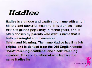 meaning of the name "Hadlee"