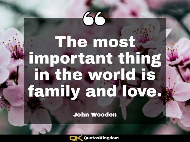 Short family quote. Family love quote. The most important thing in the world is family and love.