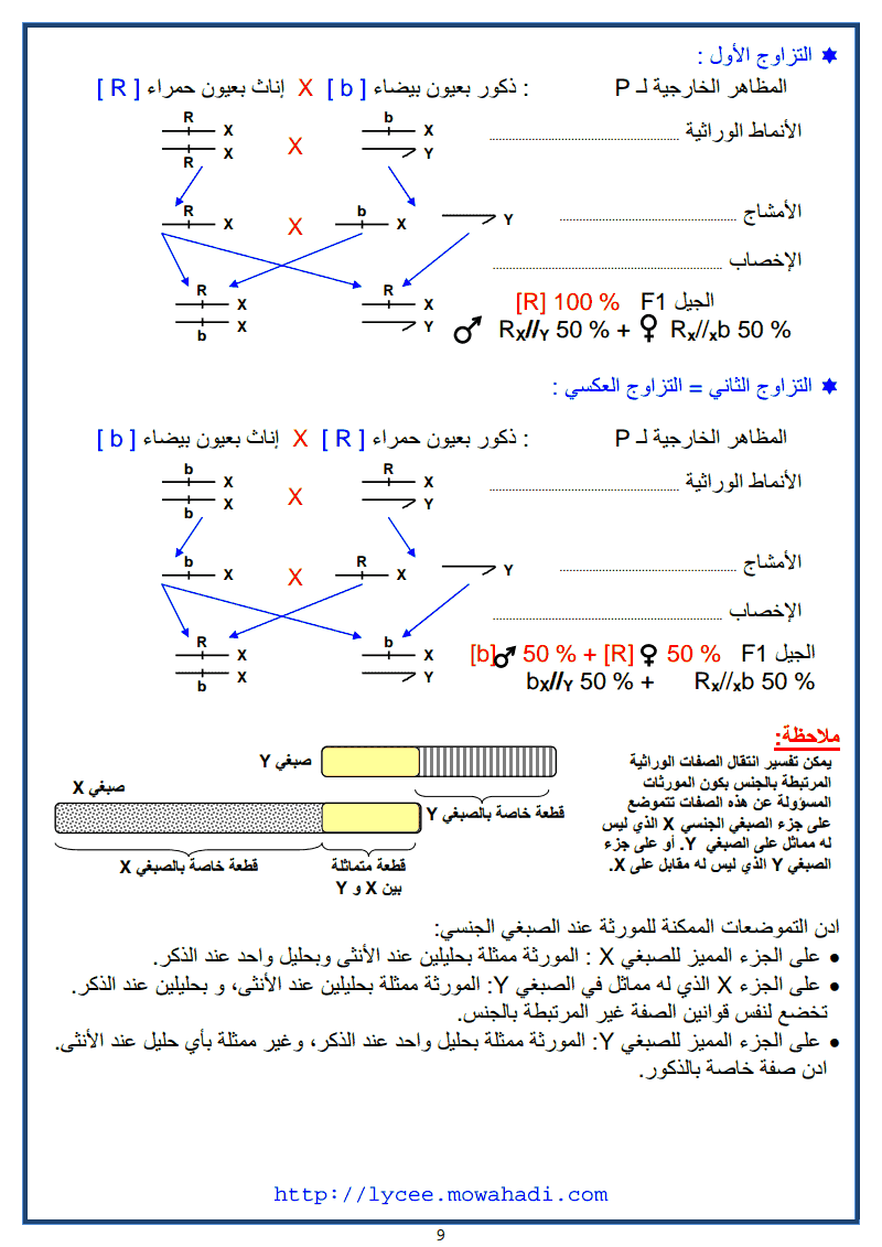  القوانين الاحصائية لانتقال الصفات الوراثية عند ثنائيات الصيغة الصبغية -9