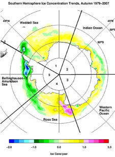 Since 1979, sea ice volume has decreased in the Bellingshausen and Amundsen Seas, while it has increased in the Ross Sea and around much of the rest of Antarctica