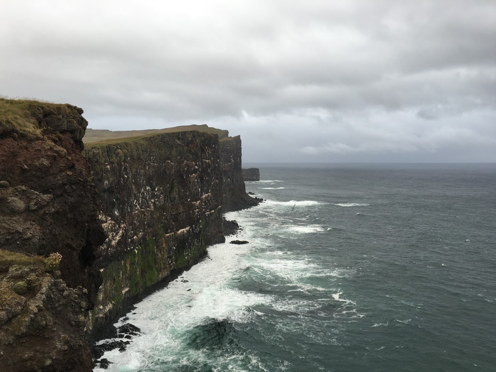 アイスランド旅行 Day2 パフィンを探して断崖絶壁のヨーロッパ最西端までドライブ ここで ヒッチハイク 第二都市のアークレイリ Latrabjarg Akureyri ーiceland Trip 旅する世界