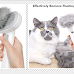 The Best Brushes for Exotic Shorthair Cats in The United States