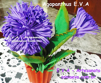 Flor Agapanthus E.V.A