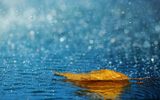 nature rain high definition wallpaper 