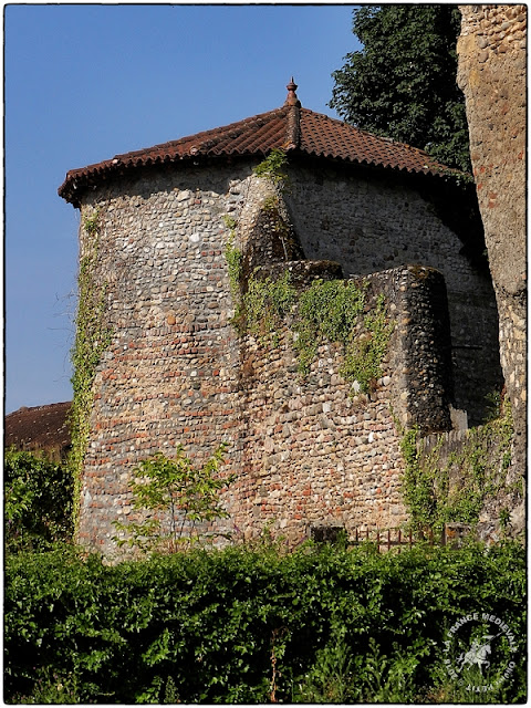 SAINT-LAURENT-DE-MURE (69) - Château-fort delphinal