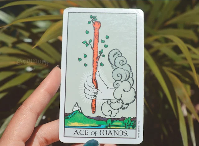 Significado da Carta Ás de Paus no Tarot no amor, trabalho e dinheiro, saúde, como obstáculo ou invertida e como conselho