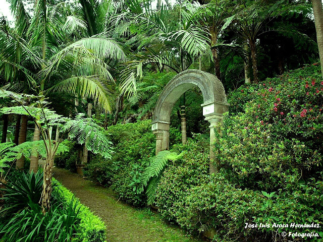 Jardín Tropical.