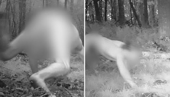 Tinggal Kemera Tersembunyi Dalam Hutan Untuk Tangkap Gambar Haiwan Liar Tetapi Dapat Gambar 'Harimau Jadian'