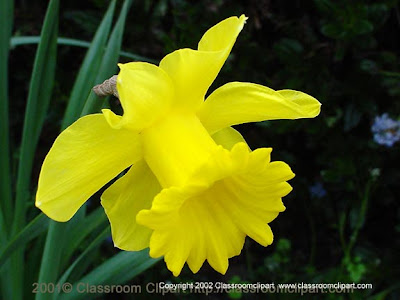 photo of a yellow bell from recipes of the heart