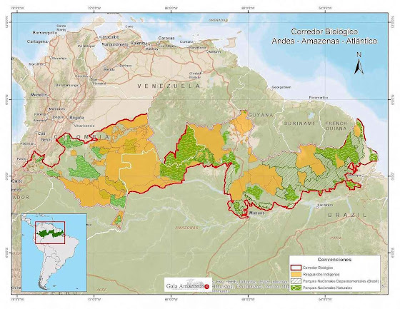 A imensa dimensão do 'Corredor Biológico Andes - Amazonas - Atlântico' ou AAA.