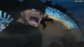 ワンピースアニメ 1018話 ロロノア・ゾロ Roronoa Zoro | ONE PIECE Episode 1018