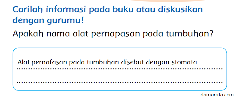 41+ Nama Alat Pernapasan Hewan Selain Insang Pada Ikan, Koleksi Istimewa!