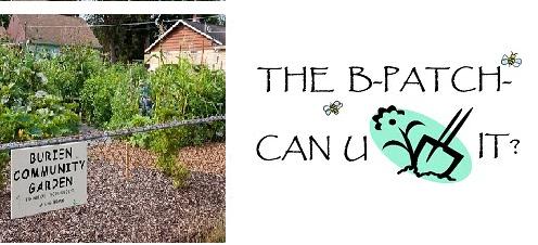 B-Patch