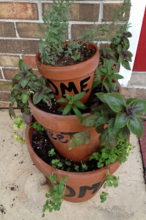 Basil, oregano, lavender and parsley in herb container garden