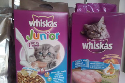 Harga Susu Kucing Terpercaya di Pasaran 2018 - harga susu anak kucing