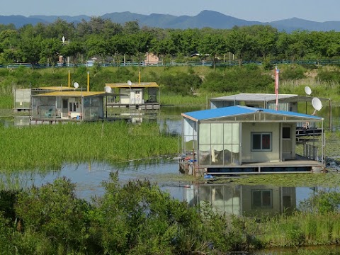 Chuncheon