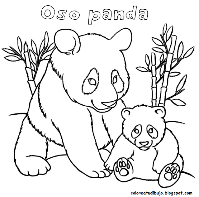 Oso panda con oso panda bebe para colorear