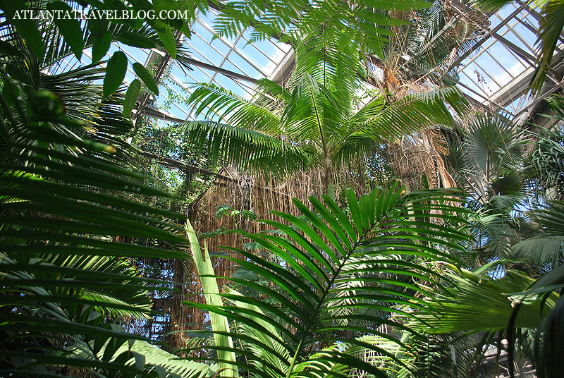 tropical botanical garden