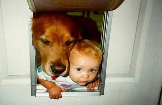 Kids and Pets Seen On www.coolpicturegallery.us