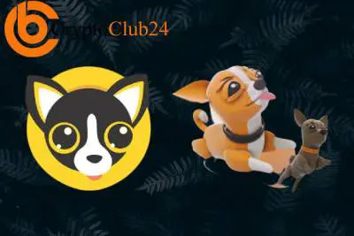 The Next Big Thing in Cryptocurrency: Chihuahua Chain (HUAHUA)