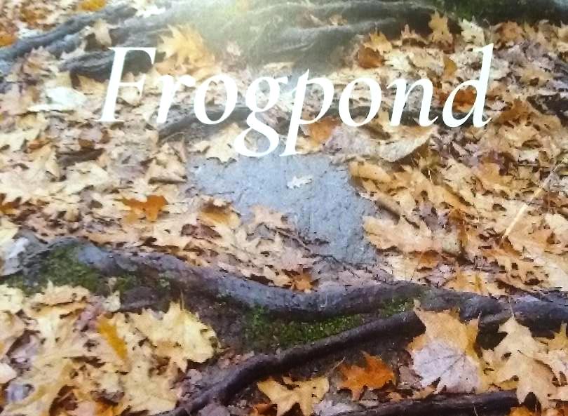 cover photo from Frogpond Autumn 2023 of scattered dead leaves