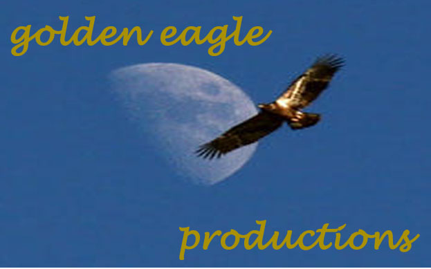 golden eagle logo. We used an eagle as our logo as it indicates power and domination over all