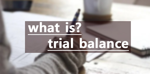 trial blance क्या है ?| इसे कैसे बनाते है ?