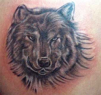 shoulder wolf tattoo design