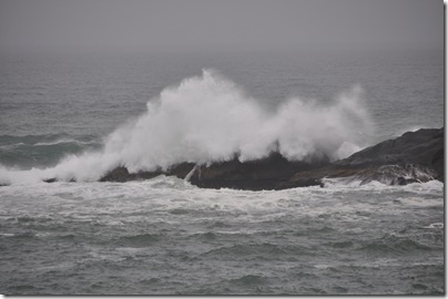 South Beach State Park, OR 116