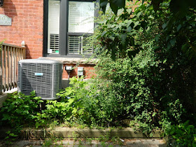Dovercourt Park Front Garden Cleanup Before by Paul Jung Gardening Services--a Toronto Gardening Company