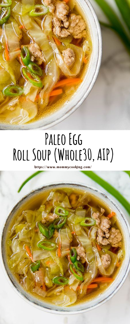 Paleo Egg Roll Soup (Whole30, AIP) #vegetarianrecipe #vegies 